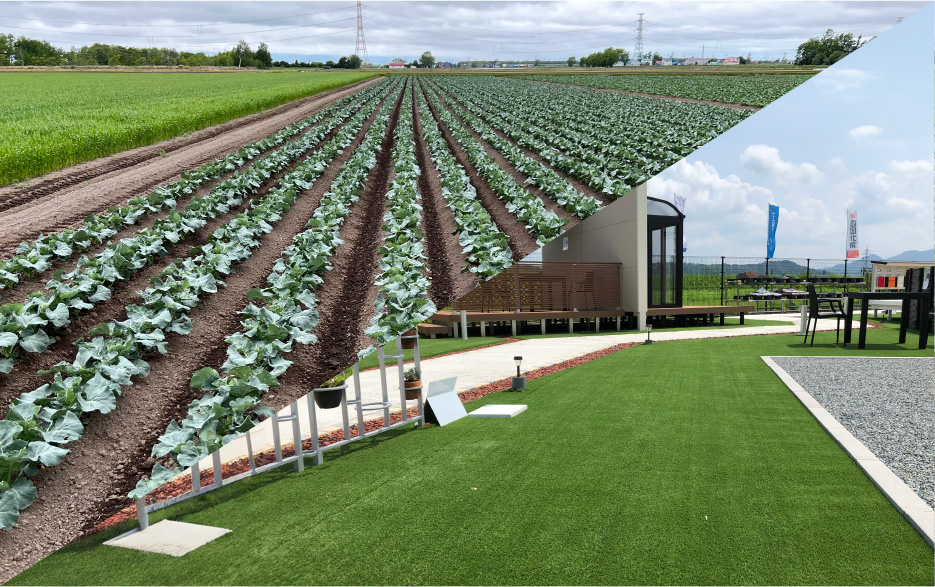 Landscaping Field / Agricultural Field